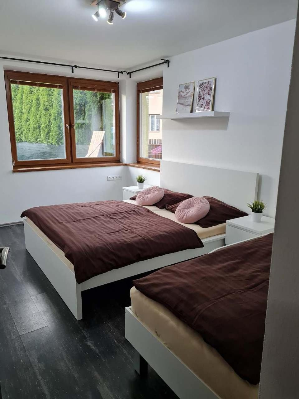 Vila Max - Whirlpool & Bazen & Sauna Velké Losiny Exterior photo